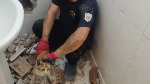 Malatya’da Dar Boşluğa Sıkışan Kedi Duvar Kırılarak Kurtarıldı