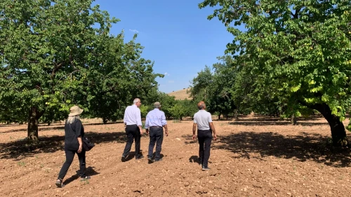 İl Müdürü Akar Kayısı Bahçelerinde: Hasat Süreci Sahada İncelendi