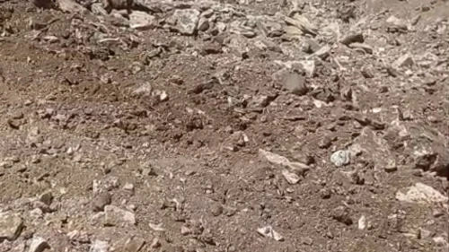 TOKİ İnşaatı Kazısında İnsan Kemikleri Bulundu...!