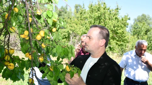 "Fiyatlar Üreticinin Emeğini Karşılamıyor, TMO Acilen Devreye Girmeli!"