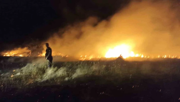Akçadağ’da bahçe ve sazlık yangını: 25 Kayısı ağacı zarar gördü