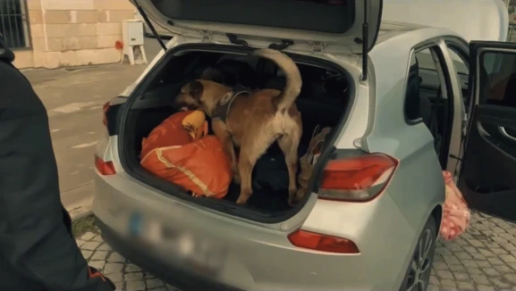 69 İlde Narkotik Operasyonu; İçlerinde Malatya’da Var