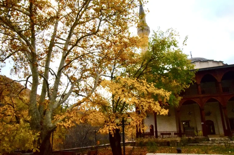 Arapgir'de Sonbahar Şöleni: FotoKültür ile Tarihi Kareler 2