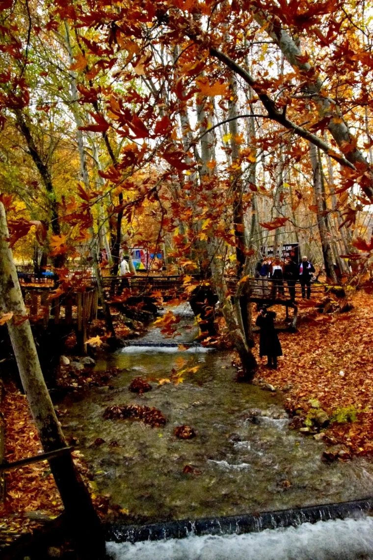 Arapgir'de Sonbahar Şöleni: FotoKültür ile Tarihi Kareler 3
