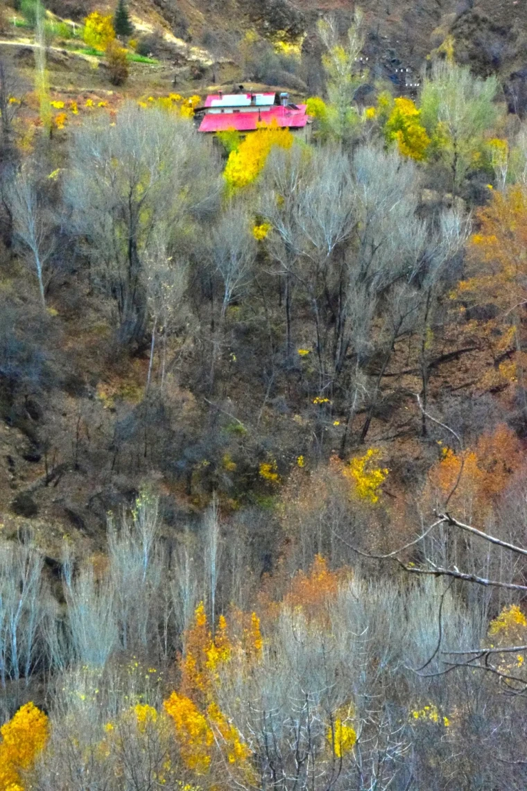 Arapgir'de Sonbahar Şöleni: FotoKültür ile Tarihi Kareler 4