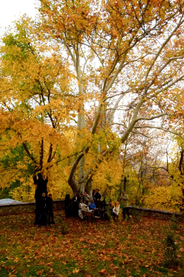Arapgir'de Sonbahar Şöleni: FotoKültür ile Tarihi Kareler 5