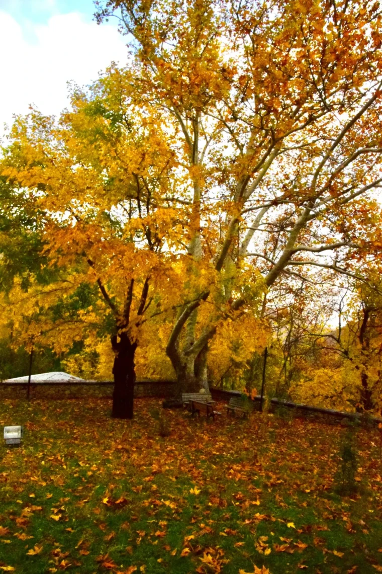 Arapgir'de Sonbahar Şöleni: FotoKültür ile Tarihi Kareler 6