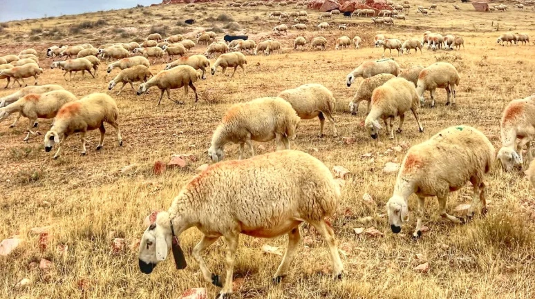 Halk Elinde Islah Projelerine 2,7 Milyar TL Destek