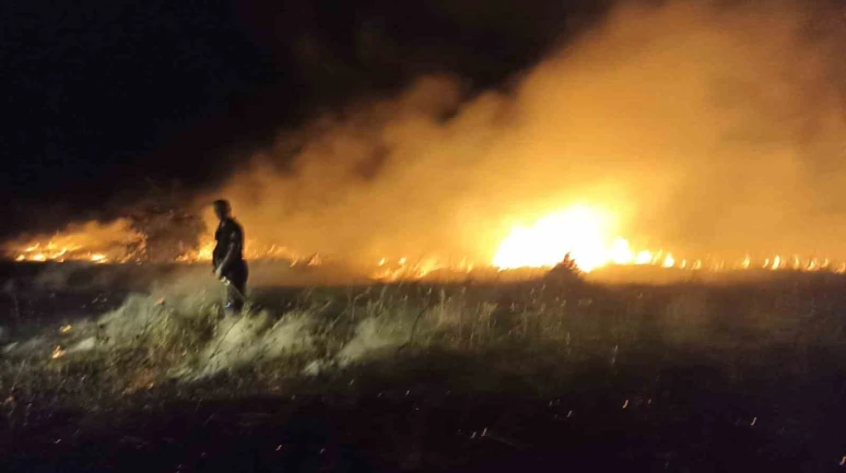 Akçadağ’da bahçe ve sazlık yangını: 25 Kayısı ağacı zarar gördü