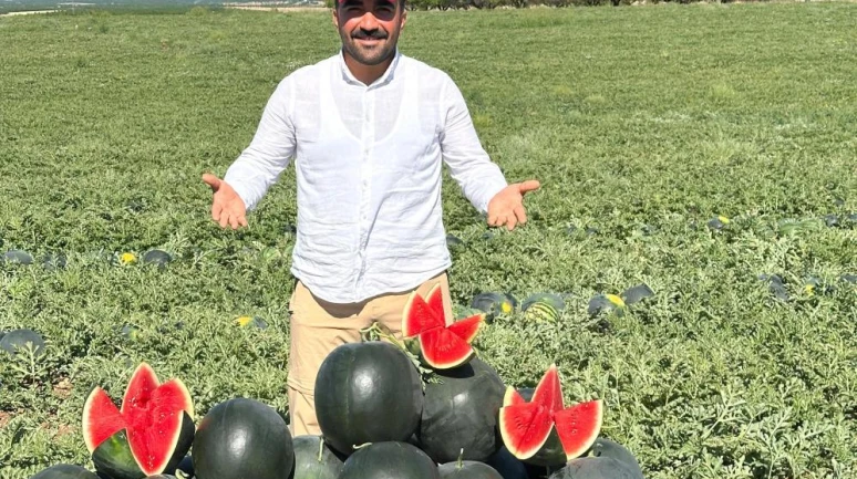 Malatya’da karpuz ve kavun hasadı yüz güldürüyor
