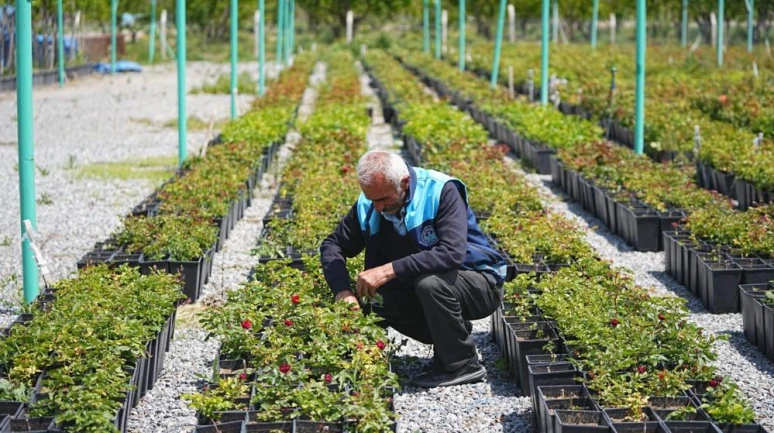 Battalgazi’de 210 bin fidan toprakla buluştu