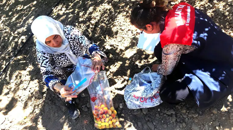 Malatya’da Sıkı Pestisit Denetimi!