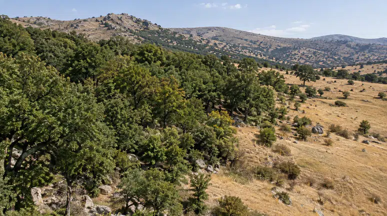 Resmî Gazete'de Yayımlandı: Kuluncak'ta Orman Sınırı Kararı