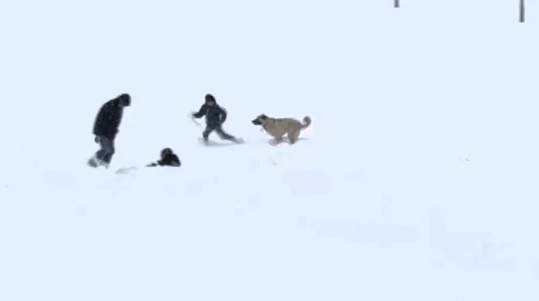 Malatya’da Kar Sevinci: Çocuklar ve Köpeğin Oyunu Gülümsetti