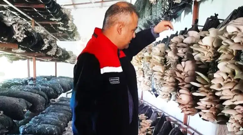 Malatya’da Mantar Üretim Tesisleri Mercek Altında.!