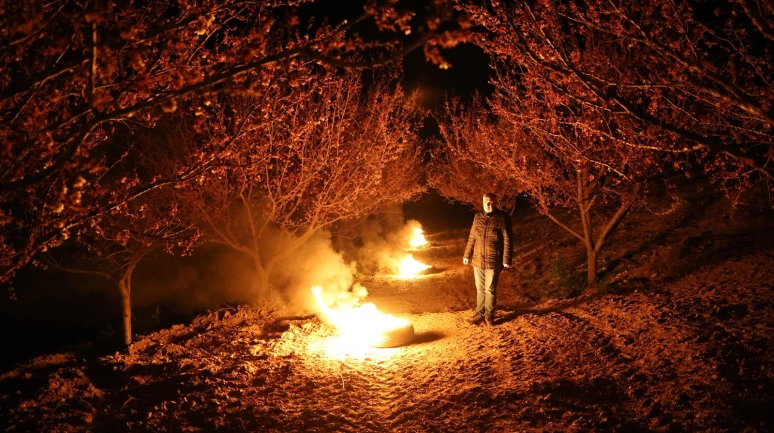 Ziraat Mühendisi Şevket Fidan’dan Kayısı Üreticisine Don Uyarısı: Hazırlıklı Olun