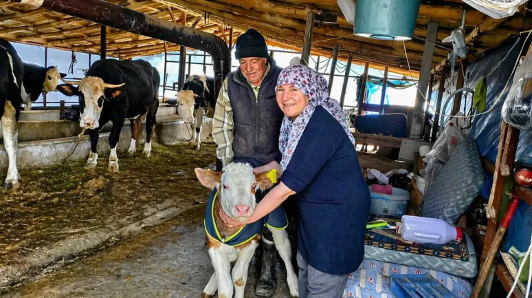 Malatya’da Üreticiye Büyük Destek: “Yaşasın Buzağılar” Projesiyle Kayıplar Azalıyor!