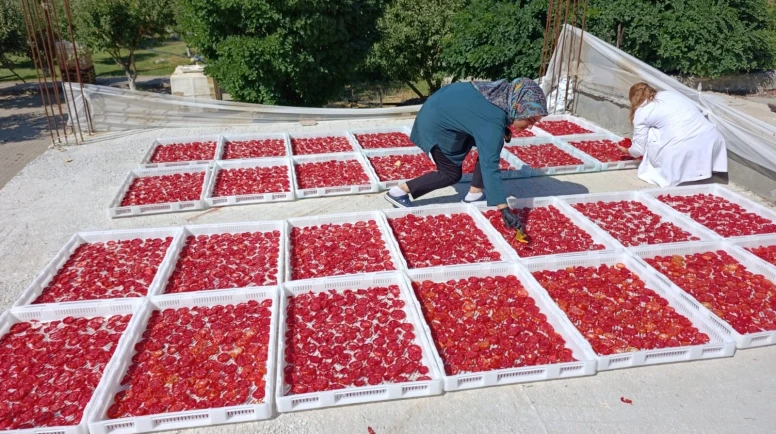 Doğanşehirli Kadınlar Üreterek Ev Ekonomisine Katkı Sağlıyor