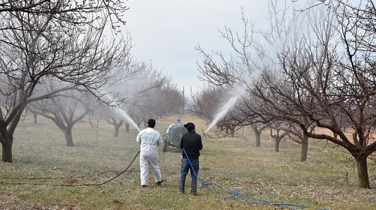 Malatya Kayısı Üreticilerine Kritik İlaçlama Uyarısı
