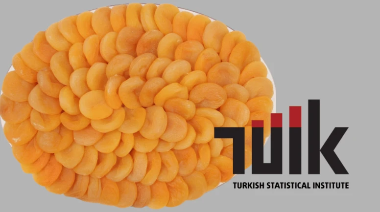 Türkiye’nin üretim gücü verilerle tescillendi: Kayısıda yüzde 594,9’luk rekor yeterlilik!