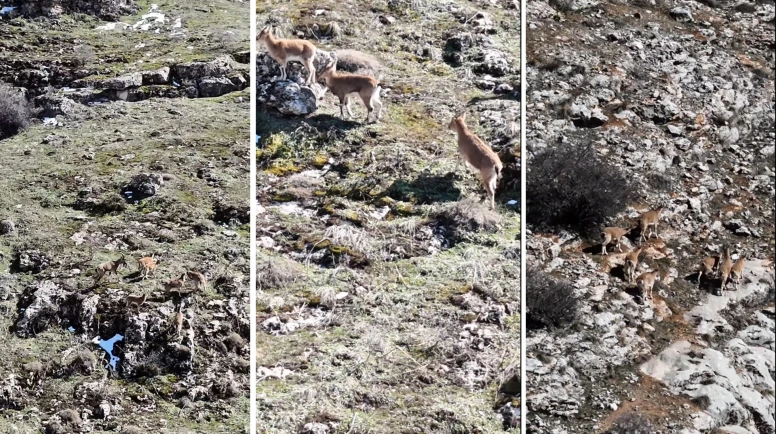 Malatya Beydağı'nda büyüleyen görüntüler: Vali Yavuz o anları paylaştı!