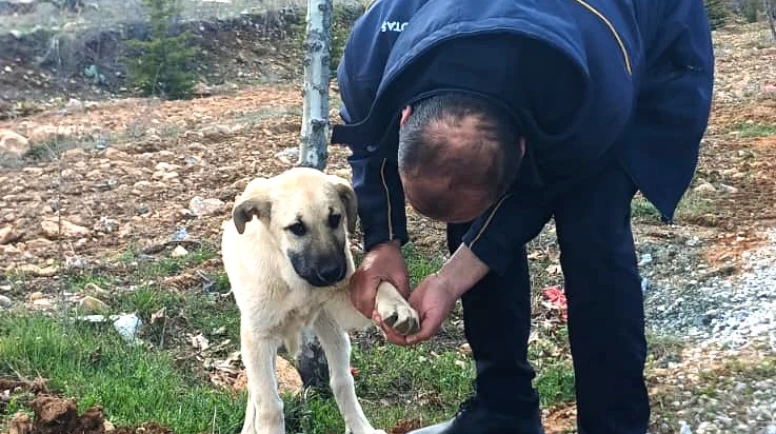 Otobüs şoföründen yüreklere dokunan hareket: İnsanlık ölmemiş!