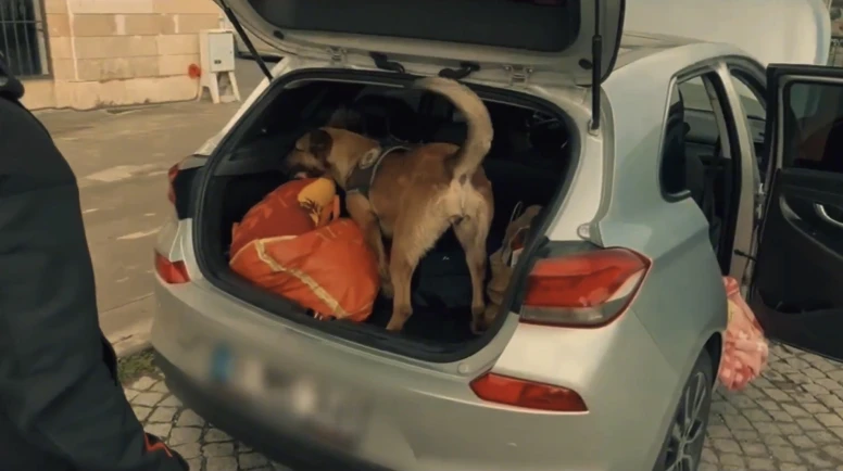 69 İlde Narkotik Operasyonu; İçlerinde Malatya’da Var