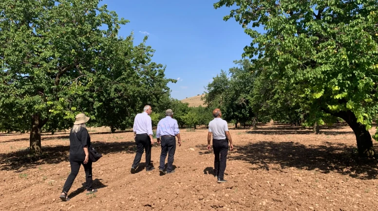 İl Müdürü Akar Kayısı Bahçelerinde: Hasat Süreci Sahada İncelendi