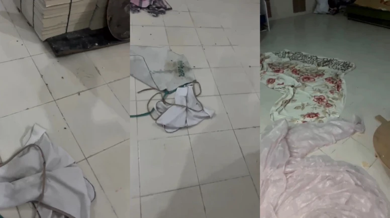 Vatandaş Görüntüledi: Fırında Böcek Var İddiası..!