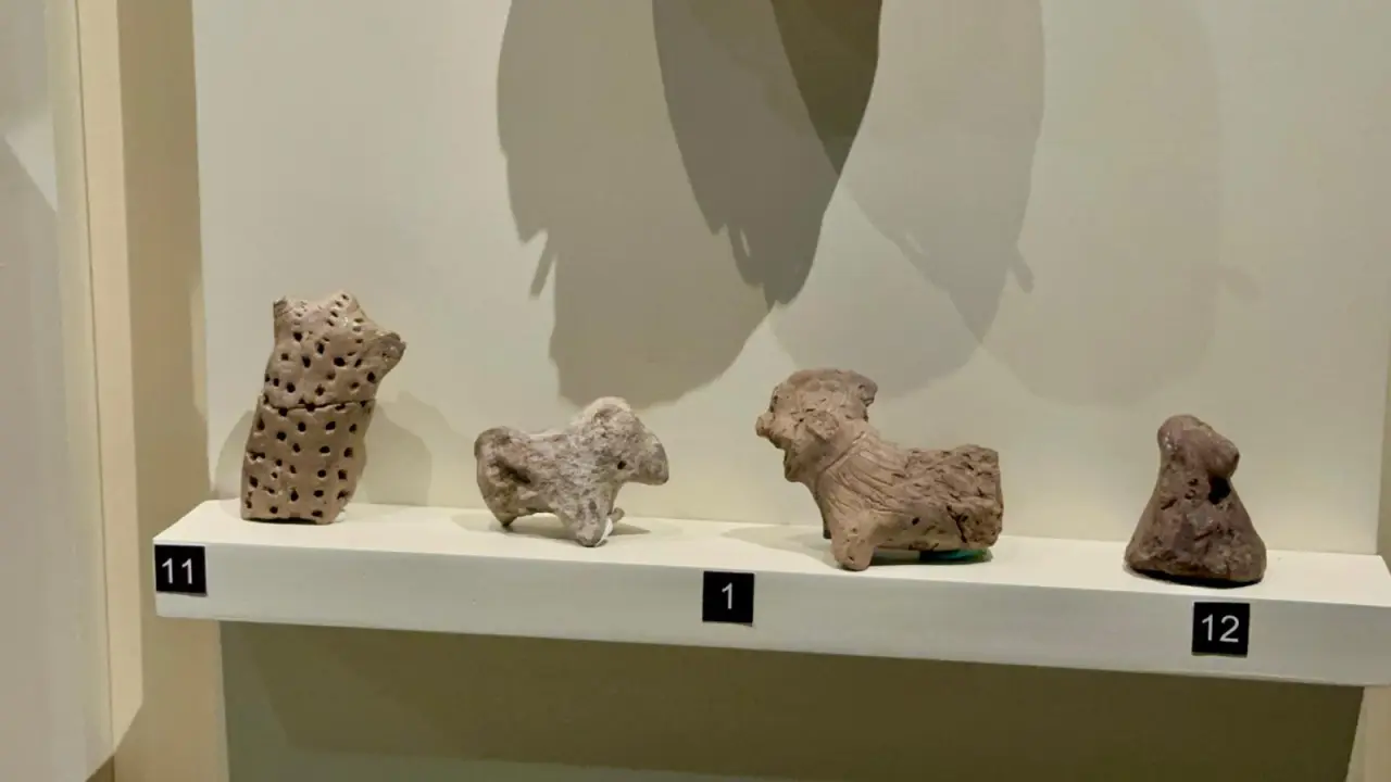 Malatya Arkeoloji Müzesi Resim Galerisi 4