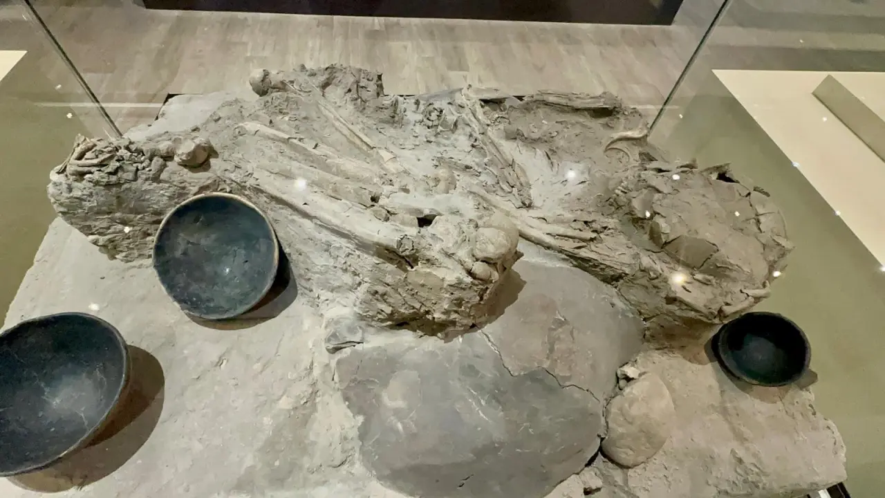 Malatya Arkeoloji Müzesi Resim Galerisi 2
