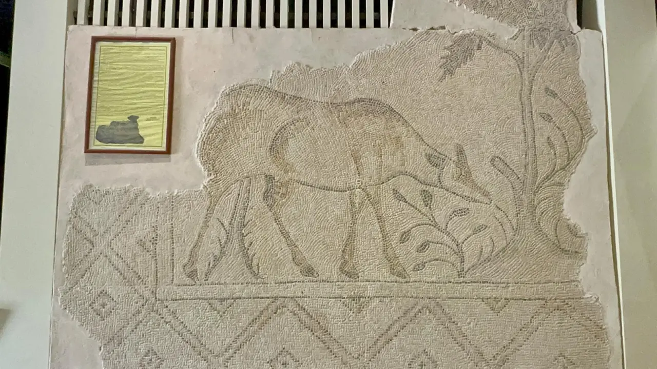 Malatya Arkeoloji Müzesi Resim Galerisi 8