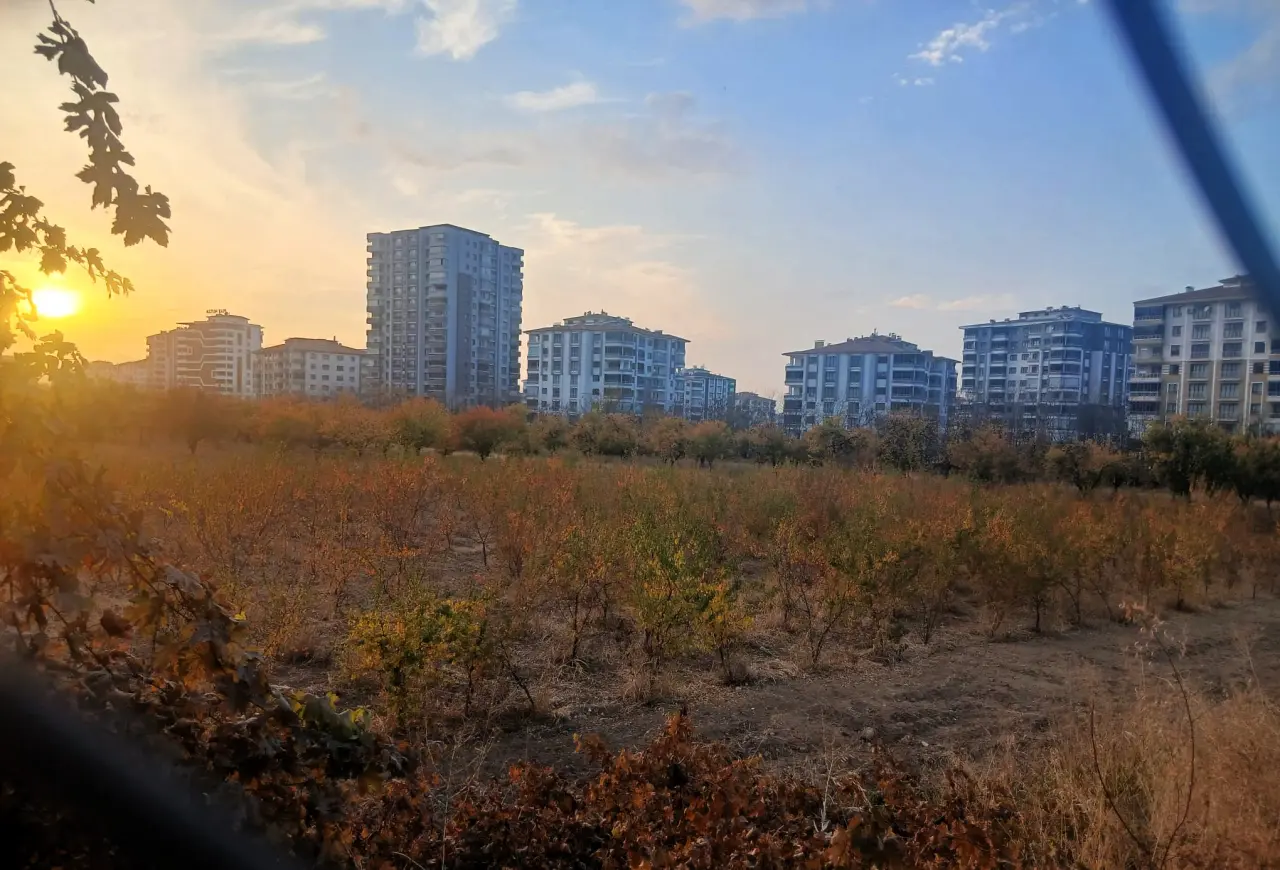 Malatya Kayısı Açık Hava Müzesi önerisi için düşünülen alan 2