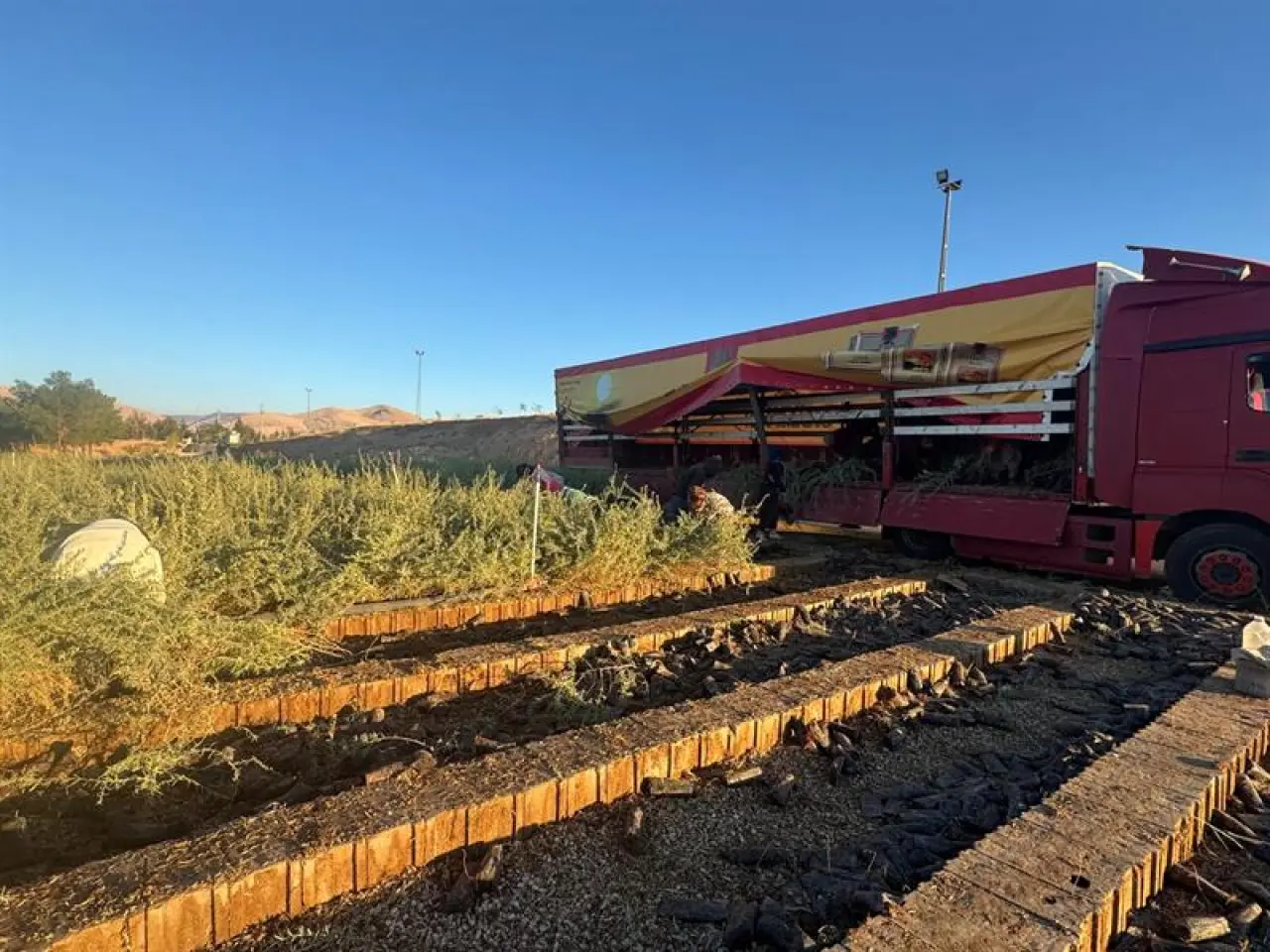 tuz çalısı ve tırdan boşaltılması