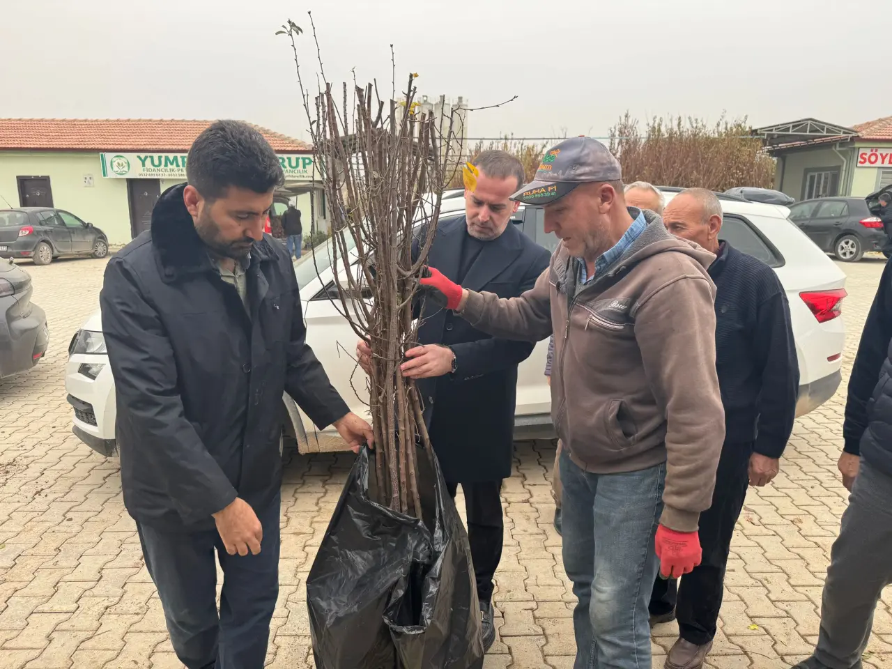 Fidan üretim alanlarının hemen yanına kurulan beton santralleri ve çevreye etkisi
