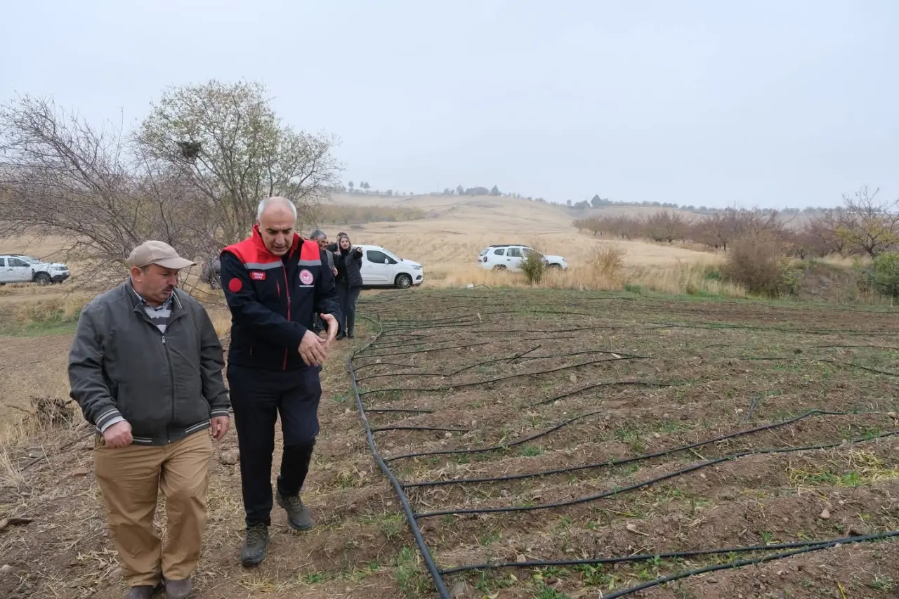 Malatya Tarım ve Orman İl Müdürü Osman Akar ve teknik ekibin safran tarlasında yaptığı inceleme.