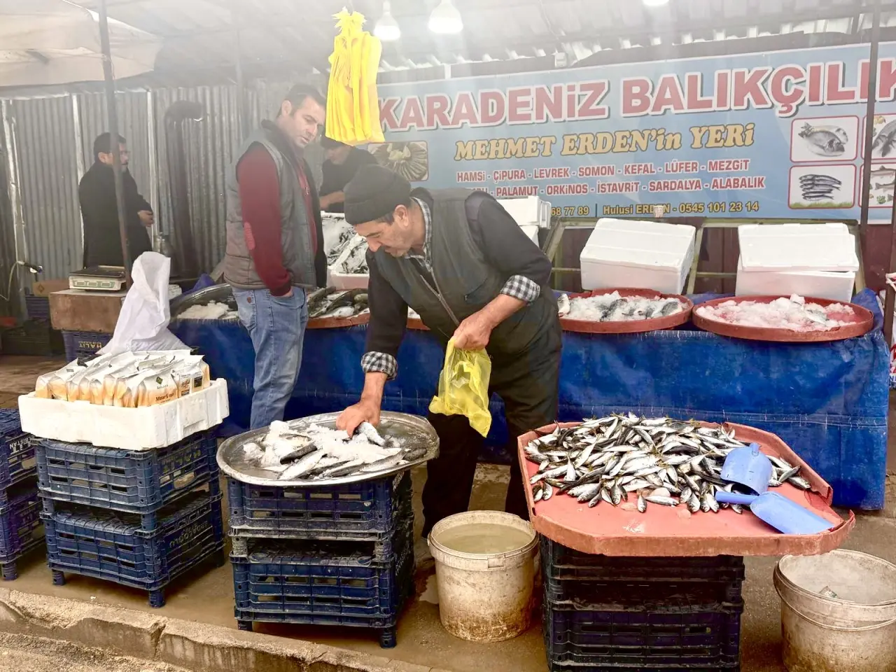 Darende'de balık tezgahında hamsi ve somun seçen vatandaşlar ve balıkçı esnafı