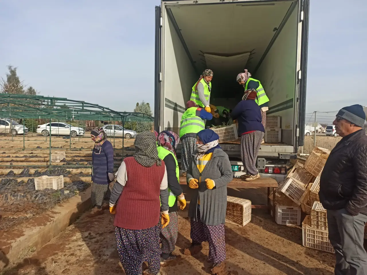 Malatya'dan Türkmenistan'a fidan sevkiyatı tır yükleme