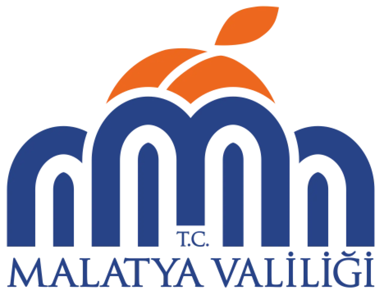 Malatya İŞKUR TYP başvurusu