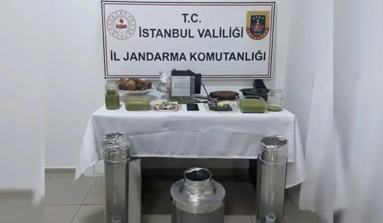 Jandarma narkotik operasyonu ele geçirilen uyuşturucu maddeler