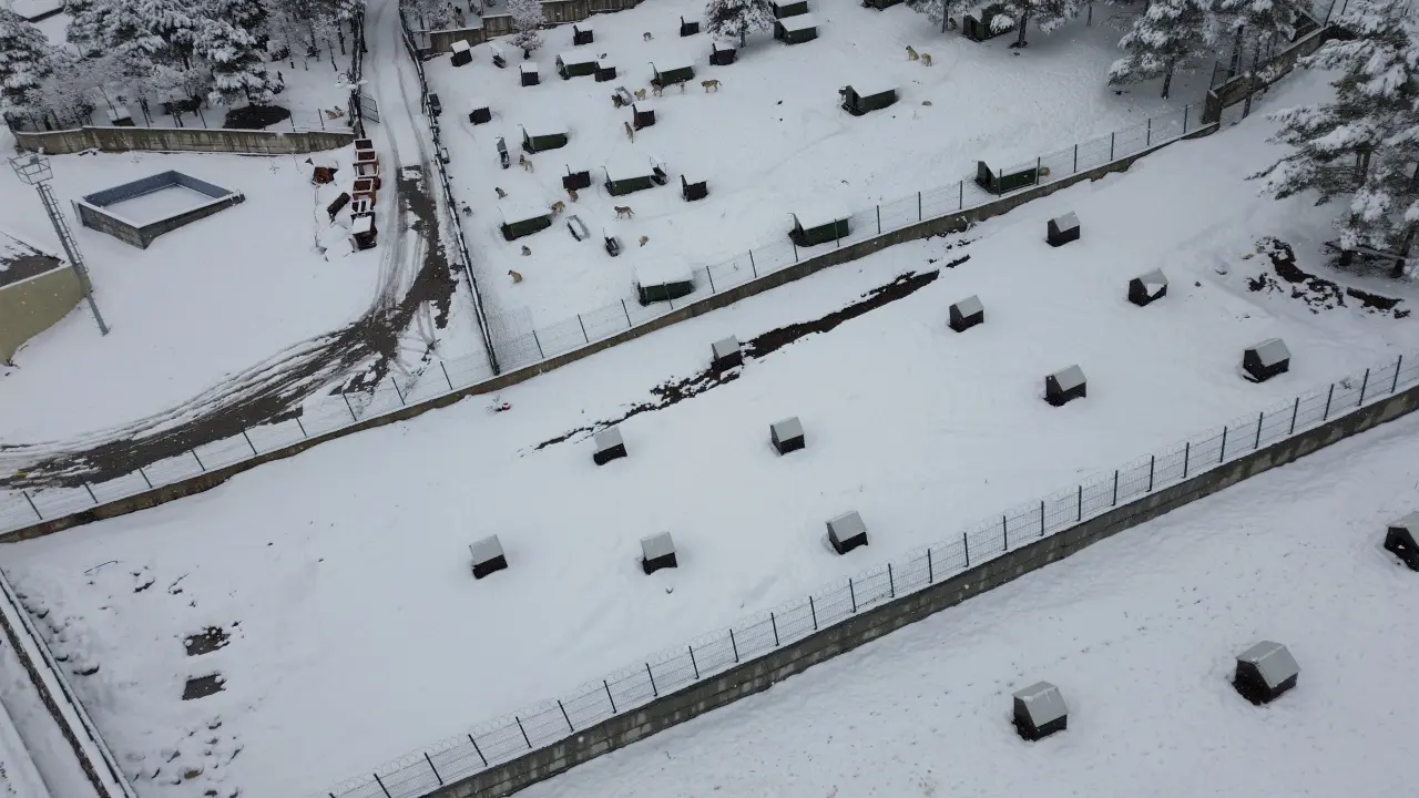 Battalgazi Belediyesi hayvan barınağı genel görünüm