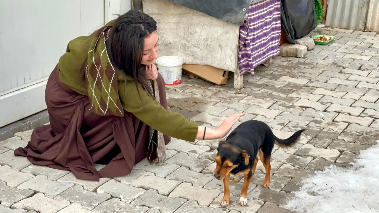 Fatma Arat ve köpeği Boncuk konteyner kent