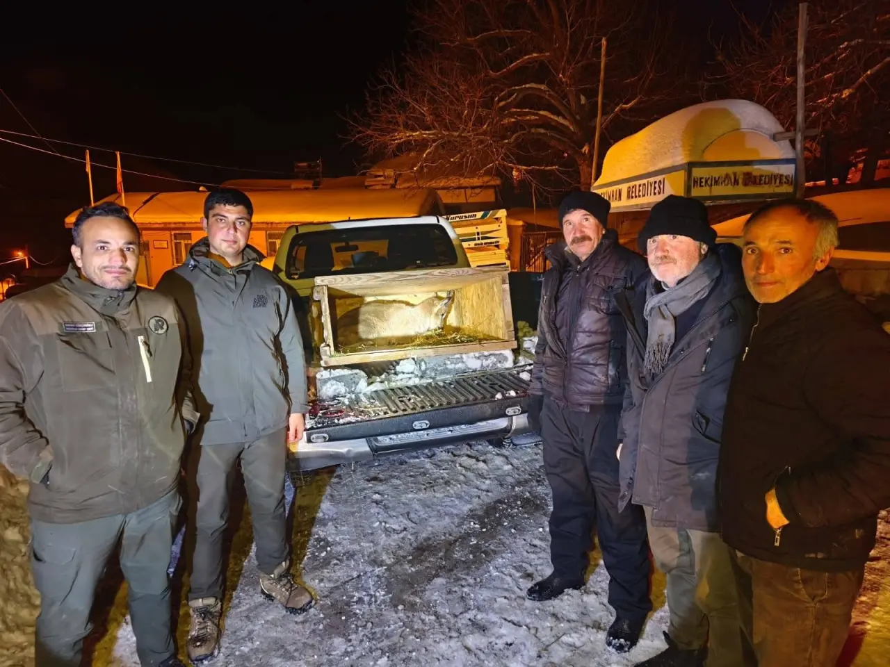 Malatya Doğa Koruma ekipleri dağ keçisi teslim alma