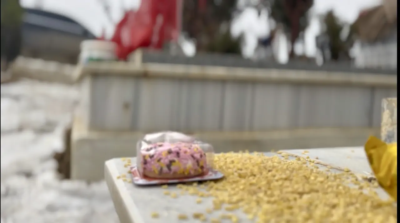 Turgut Karaaslan mezarlık ziyareti çikolata