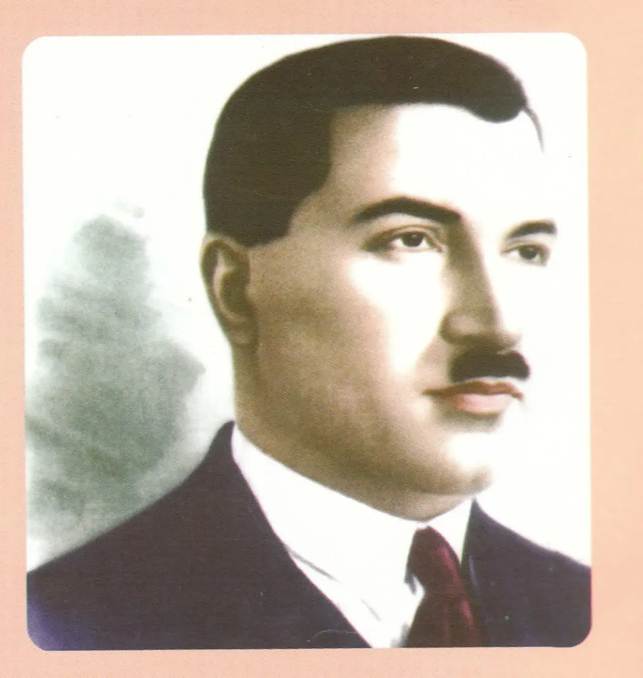 Mustafa Necati Bey portresi