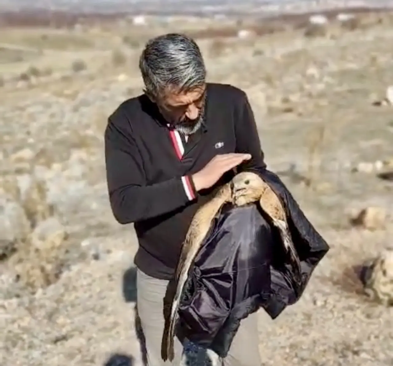 Malatya Yeşilyurt yaralı kızıl şahin