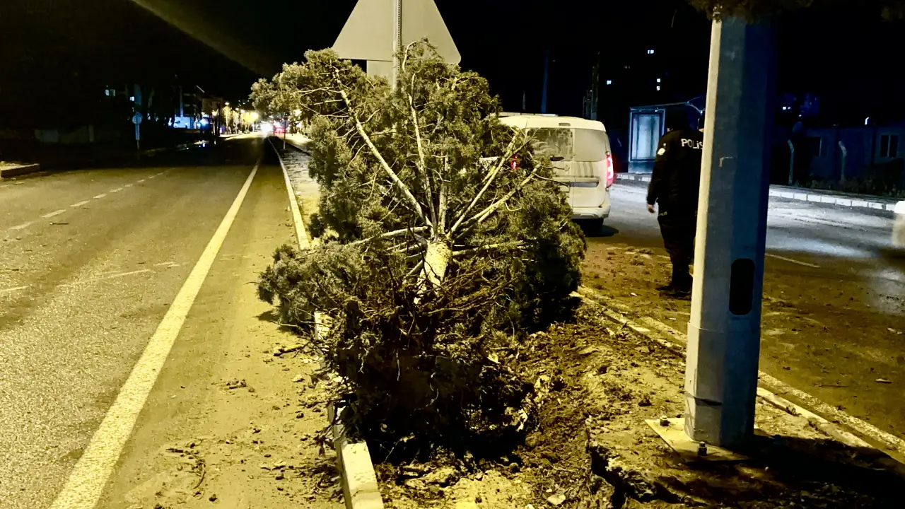 Malatya fırtına devrilen ağaçlar ve hasar