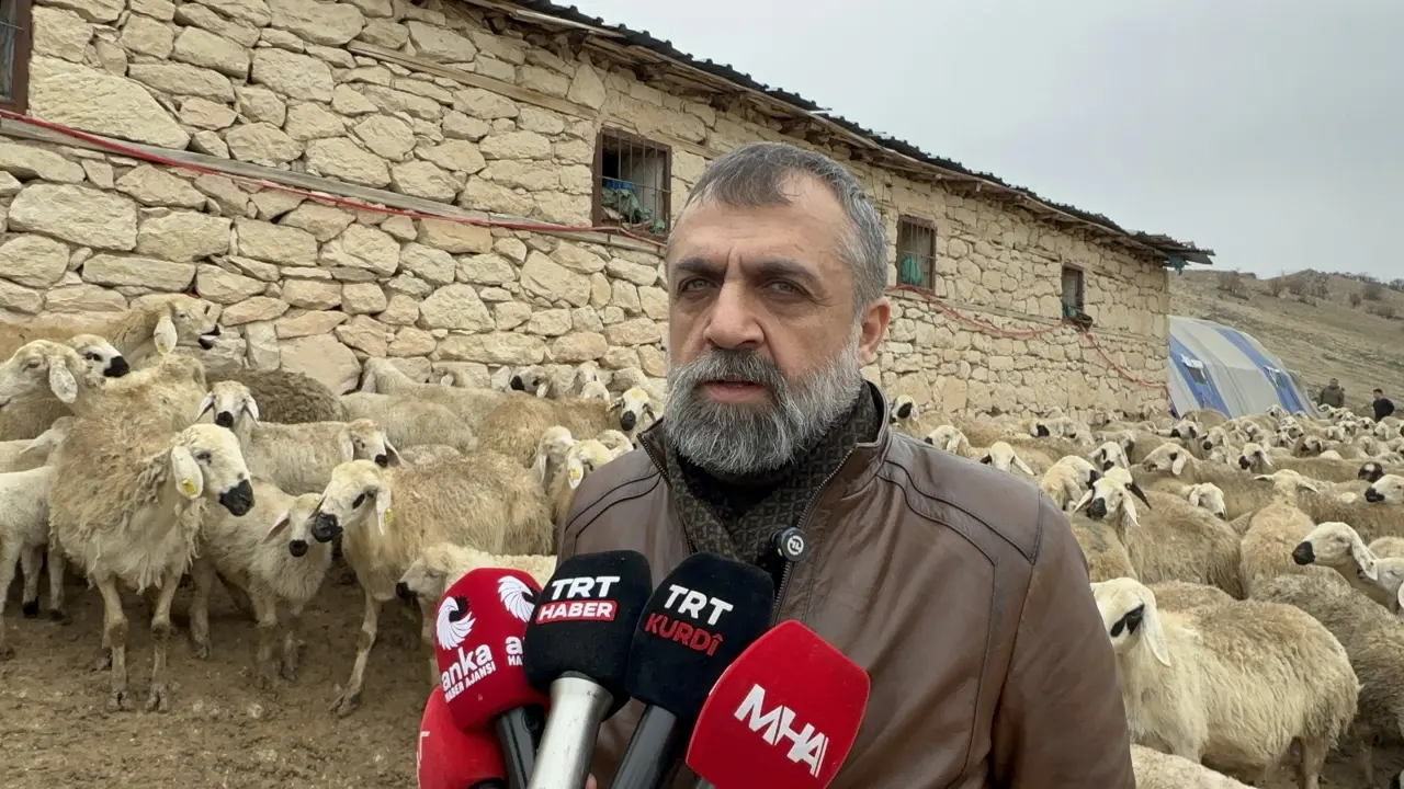 İhsan Akın kuzu üretim açıklaması