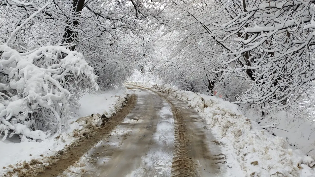 Malatya yoğun kar yağışı nedeniyle taşımalı eğitime ara verilen ilçeler