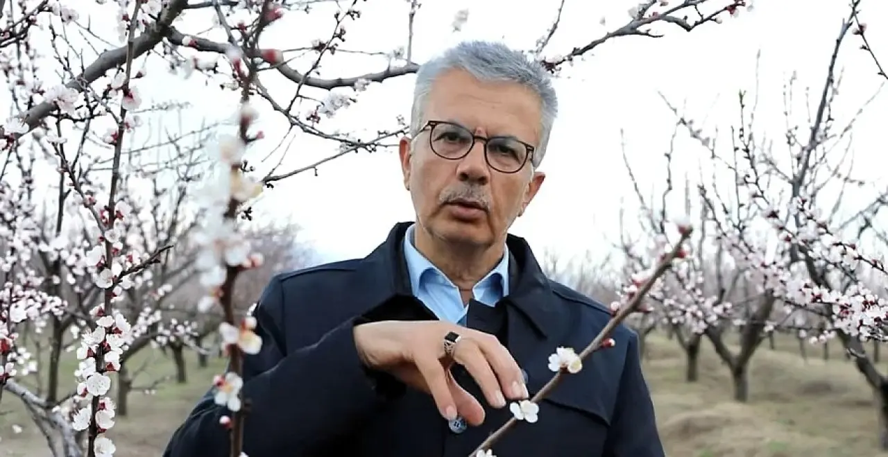 ibrahim gezer kayısı don